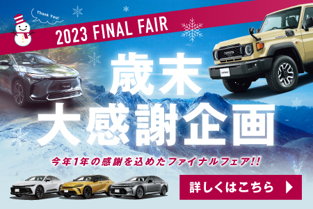 2312_finalfair_topbn_300x200