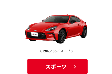 スポーツ